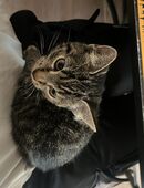 Prinzessin in 58452