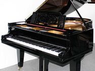 Flügel Klavier Grotrian-Steinweg 200, Nr. 39697, schwarz poliert, 5 Jahre Garantie - Egestorf