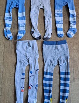 5 Strumpfhosen für Jungs Gr.86/92 von Impidimpi - Königswinter