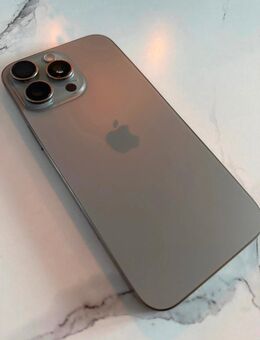 iPhone 16 Pro Max 265 GB - Zülpich