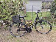 Winora Damen Fahrrad Jamaica - Gochsheim