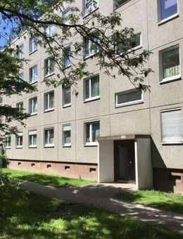 Mitten drin statt nur dabei: günstige 2-Zimmer-Wohnung mit Balkon sucht Mieter - Kassel