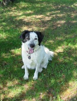 Laiko -PLZ 47239 Duisburg - Dreikirchen