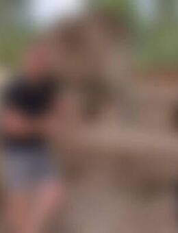 Lan*** - Aschaffenburg