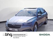 Skoda Superb, 2.0 TDI Combi Style Superb C Premium Ed, Jahr 2020 - Freiburg (Breisgau)