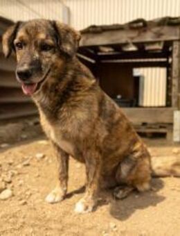 Beghei lieber Senior - Kallmünz