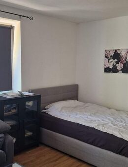 1 WohnSchlafzimmer, eine Wohnküche, Bad mit Du, Toplage - Stein (Bayern)