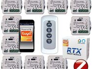 10x TUYA Zigbee Rollladensteuerung RFRCM-Fernbedienung SmartHome - Ingolstadt