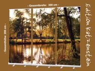 Bestatter-Bedarf, Dekoration: Roll-Up Display "Stadtparkteich im Herbst"- Beerdigung, Trauerfeier, Trauerhalle - Wilhelmshaven Zentrum