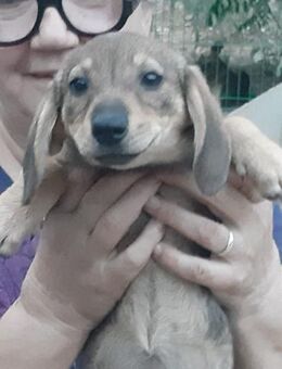 Caramel - Mönchengladbach