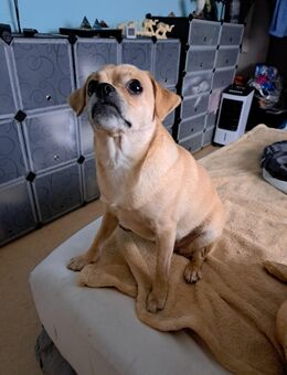 Chanel - Schweinfurt Zentrum