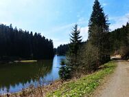 Gemütliche Ferienwohnung im Harz Braunlage OT St. Andreasberg - Braunlage Sankt Andreasberg