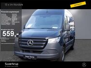 Mercedes Sprinter, 317 L2H2 KASTEN 3665, Jahr 2023 - Kiel