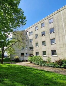 Hier ziehen wir ein, das wird fein! - Braunschweig