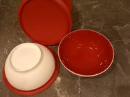 3 Tupperware Alegra Dessert Schüssel - Büdingen