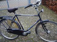 Herren Holland-Fahrrad, Gazelle "Impala" 28 Zoll, Rahmengröße: 53 cm, 5-Gang Nabenschaltung - Wesel