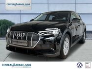 Audi e-tron, 50 quattro basis, Jahr 2021 - Pirmasens