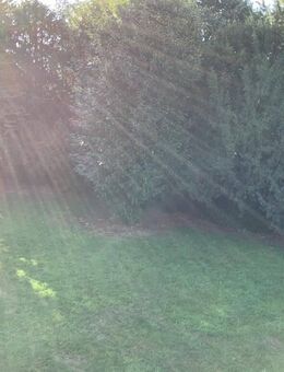 Schoene, 3,5 Zimmerwohnung mit neuem Laminat, sowie frisch gestrichenen Wänden und Balkon - Recklinghausen