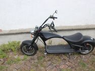 Elektrochopper M1 2000 Watt - Buttstädt