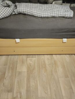 Jugendzimmer - Halle (Saale)