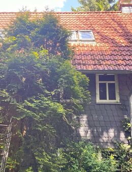 Fachwerkhaus mit Charme und Potenzial - Handwerkertraum auf großem Grundstück in Seck - Seck