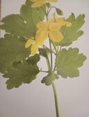 Hallo bin M/ 60 / 1.78/ 84 würde gerne eine nette Frau in 81673