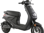 Luxxon E-Motorroller E2100Li, 45 km/h, bis zu 45 km Reichweite, Lithium-Ionen-Akku, mit Straßenzulassung