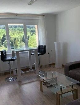 Helle und schöne 3-Raum-Wohnung inkl. Einbauküche - Oberwiesenthal