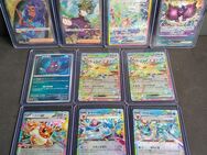 Pokemon Karten Terastal festival koreanisch - Duisburg
