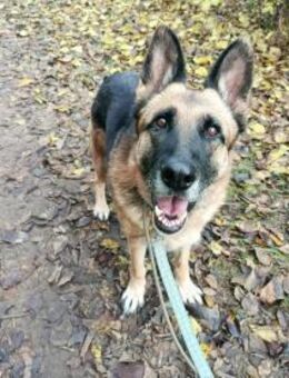 Szépség lieb und viel erlebt - Berlin