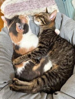 LUSI (11 Mon.) und MAUMAU (6 Mon.) - München