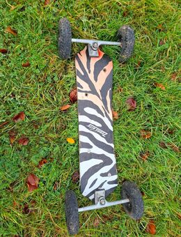 Kite Zebra - Bad Münstereifel