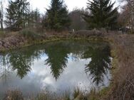 Verwildertes Teichgrundstück in Klennow - Wustrow (Wendland)
