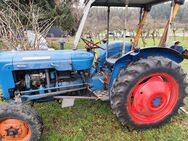 Traktor Ford Fordson Dexta Zugmaschiene Oldtimer 1962 Schlepper - Owingen