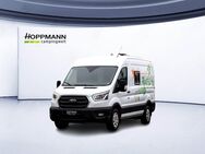 Ford Transit, Camper Eigenumbau, Jahr 2020 - Siegen (Universitätsstadt)