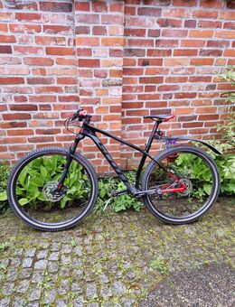 Moumtainbike - Lübeck