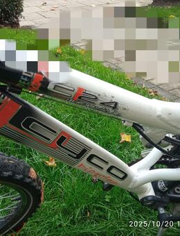 Biete, ein Jungen Fahrrad der Marke " CYCO HIGH LINE" ein Jugendfahrrad! - Essen