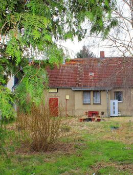 Reserviert - Einfamilienhaus in Farnstädt sucht neuen Eigentümer - geräumiges Ausbauhaus + weitläufiges Grundstück inklusive - Farnstädt