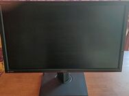 Gaming-Monitor - Forbach