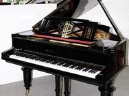 Flügel Klavier Seiler 172, schwarz poliert, 5 Jahre Garantie - Egestorf