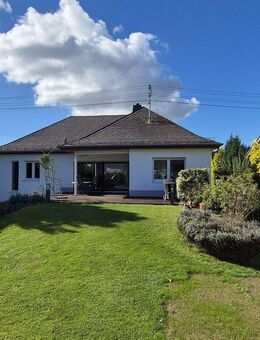 Modernes Einfamilienhaus mit Einliegerwohnung und lichtdurchfluteter Raumaufteilung in Ransbach-Baumbach - Ransbach-Baumbach
