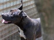 Luna P. möchte endlich ankommen - Kallmünz