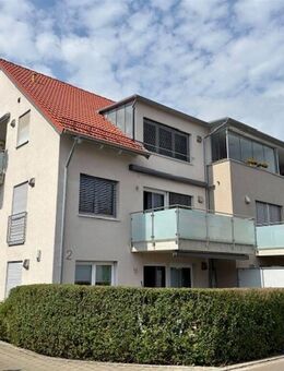 *** Top Preis-Leistung *** - Pfaffenhofen (Roth)