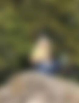 Dor*** - Wolfenbüttel