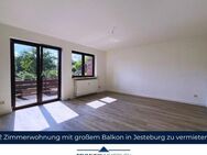 Helle 2 Zimmerwohnung mit großem Balkon in Jesteburg zu vermieten - Jesteburg