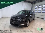 Skoda Fabia, 1.2 TSI Combi Joy, Jahr 2016 - Hemmingen (Niedersachsen)