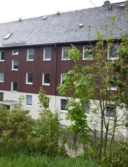 Naturnah Wohnen in Hermsdorf / Erzgebirge - 2 Raum Wohnung - Hermsdorf (Erzgebirge)