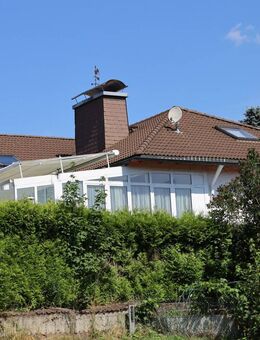 Suchen Sie ein großes Zuhause, zum Wohnen und Arbeiten mit Wintergarten und Südterrasse? - Stammbach