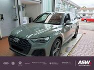 Audi SQ5 - Sinsheim