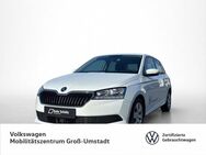 Skoda Fabia, 1.0 TSI Ambition, Jahr 2021 - Groß Umstadt